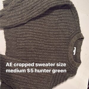 American Eagle Outfitters Hunter Green Cropped Sweater